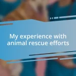 My experience with animal rescue efforts