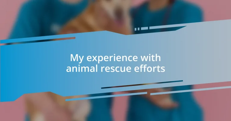 My experience with animal rescue efforts